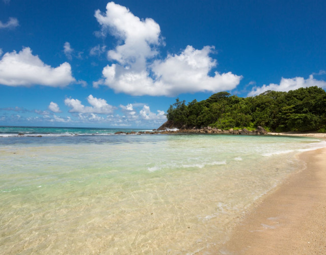 AVANI-Beach.jpg