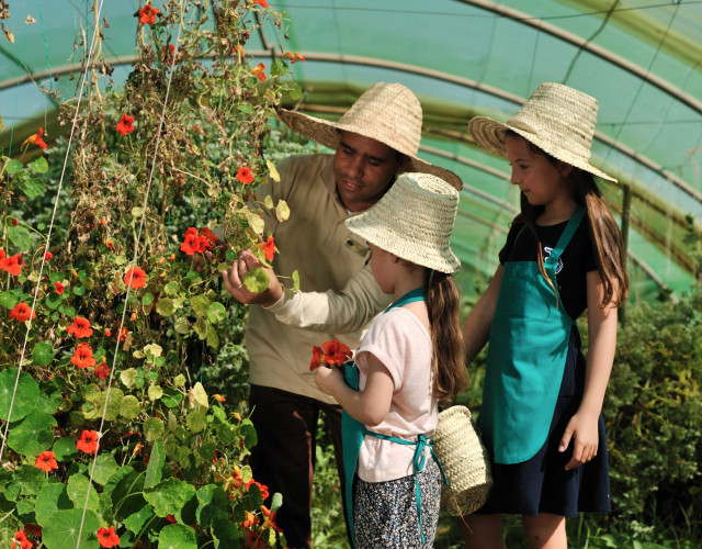 44.-Kids-Club---vegetable-garden-web.jpg