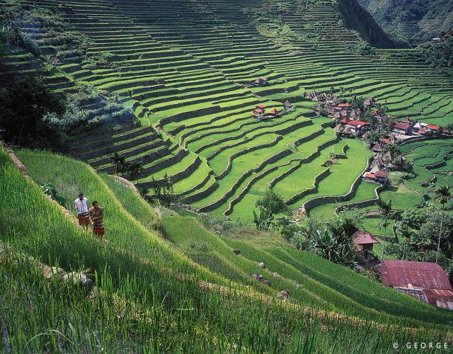 Banaue-Rice-Terraces-web.jpg