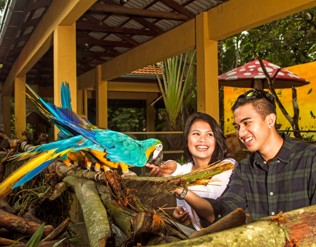 LANGKAWI-WILD-LIFE-PARK-BIRD-PARADISE-1-web.jpg