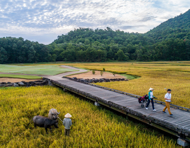 banyan-tree-lang-co_paddle-field-2_43387471165_o-web.jpg