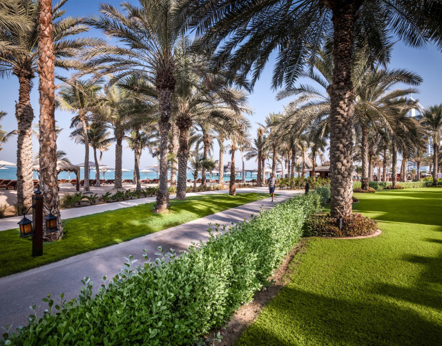 jumeirah_al_naseem-(19).jpg