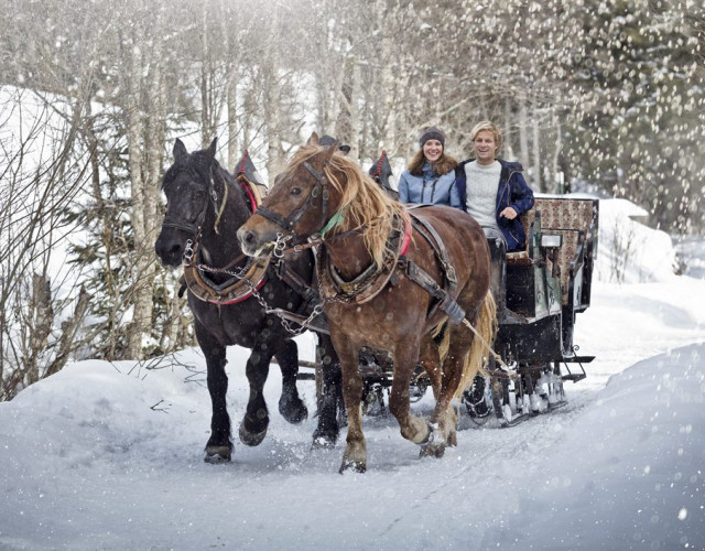 Horse-Sleigh-Riding-1200x704.jpg