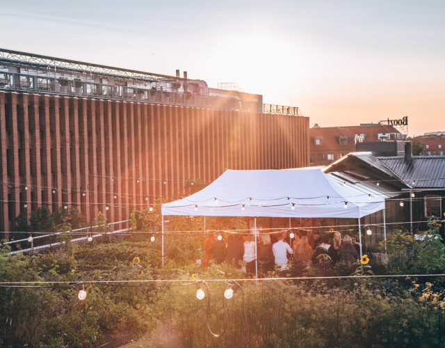 Copenhagen-Gro-Spiseri-people-enjoying-dinner-web.jpg