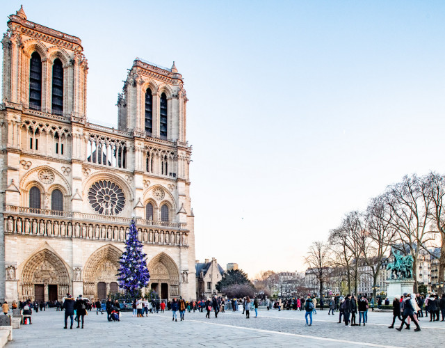 Christmas-tree-at-Notre-Dame-de-Paris-web.jpg