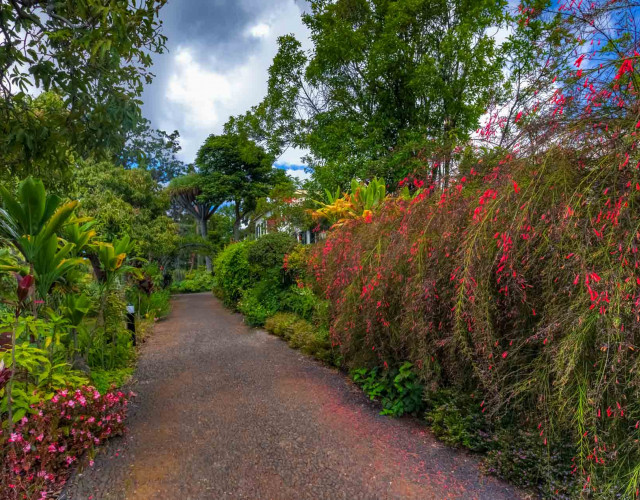 30.-QUINTA-JARDINS-DO-LAGO-GARDENS_web.jpg