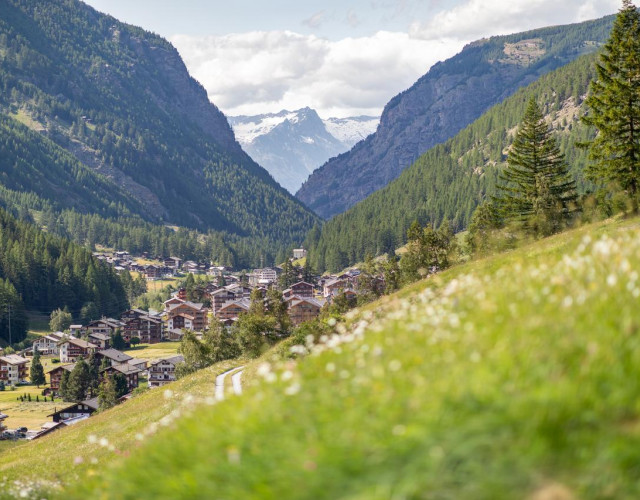 Saas-Grund-Sommer-(c)SaastalTourismusAG-levinstudio-01.jpg