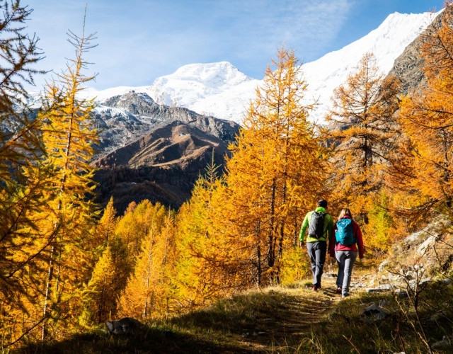 Wandern-Herbst-Hannig-(c)SaastalTourismusAG-PuzzleMedia-02.jpg