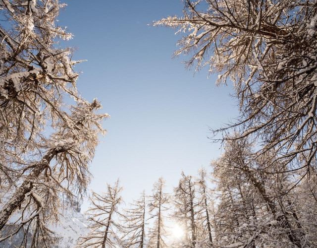 Winterwonderland-(c)SaastalTourismusAG-AmarcsterMedia.jpg