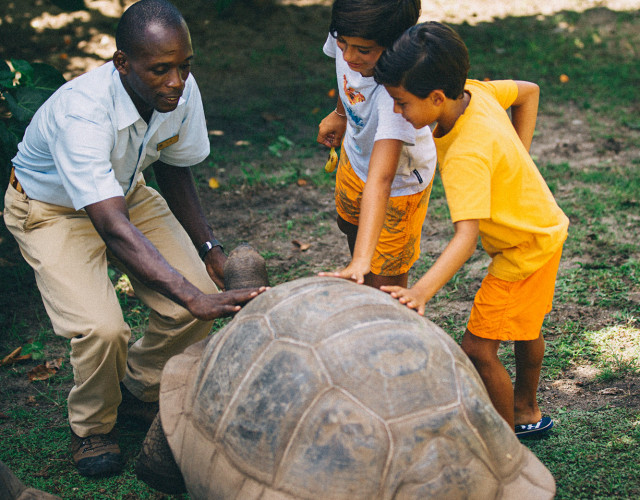 Kids-Tortoise-Feeding-web.jpg