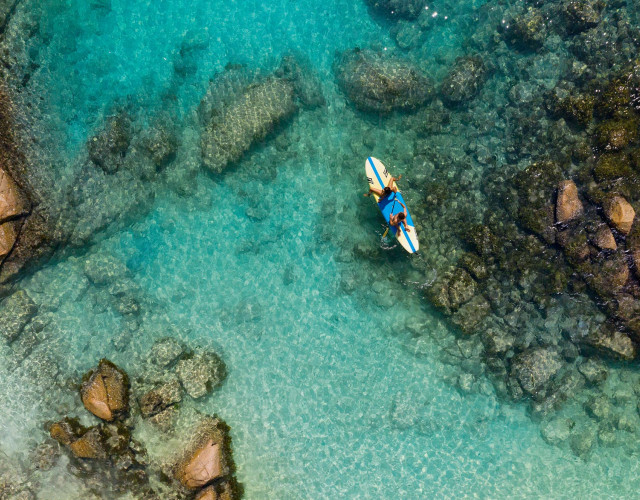 Paddle-Boarding-Couple-web.jpg