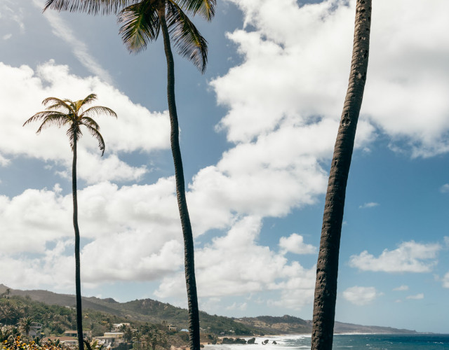 Bathsheba-Portrait-web.jpg