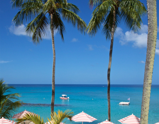 Cobblers-Cove---Poolside-2---183.jpg