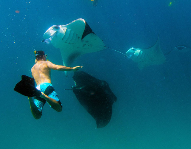 Hi_ADHI_69178553_Snorkelling_with_Manta_Rays.jpg