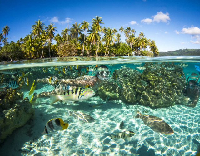 P2_02_MOOREA_TAHITI_002_DK_2017_(c)-David-Kirkland.jpg