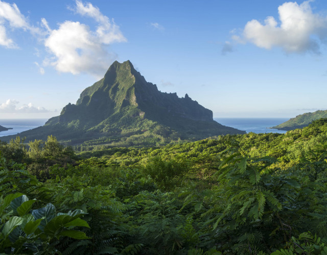 P2_08_MOOREA_TAHITI_023_DK_2017_(c)-David-Kirkland.jpg