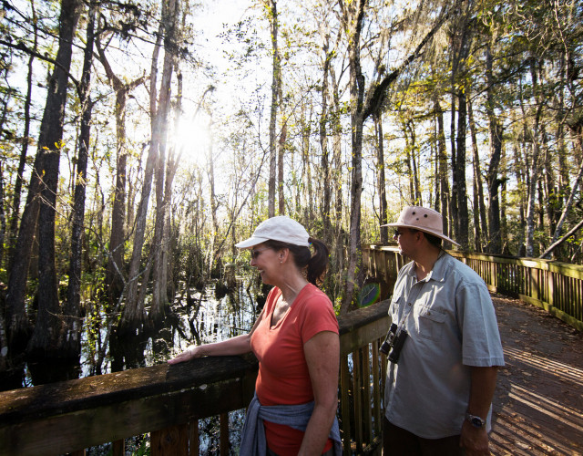 Everglades-couple-walking-the-boardwalk-trail.jpg